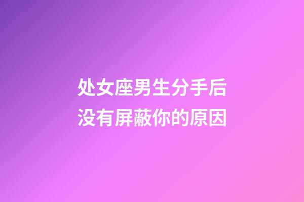 处女座男生分手后没有屏蔽你的原因-第1张-星座运势-玄机派