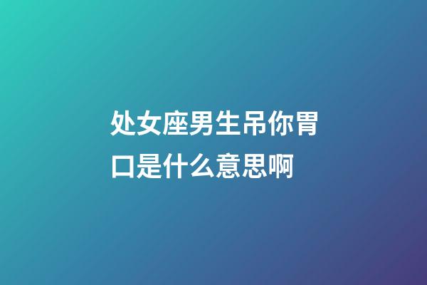 处女座男生吊你胃口是什么意思啊-第1张-星座运势-玄机派