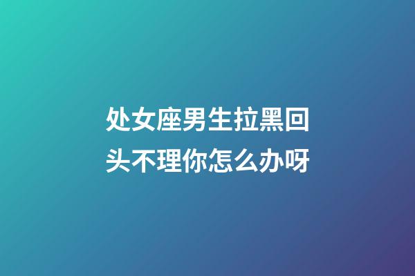 处女座男生拉黑回头不理你怎么办呀-第1张-星座运势-玄机派