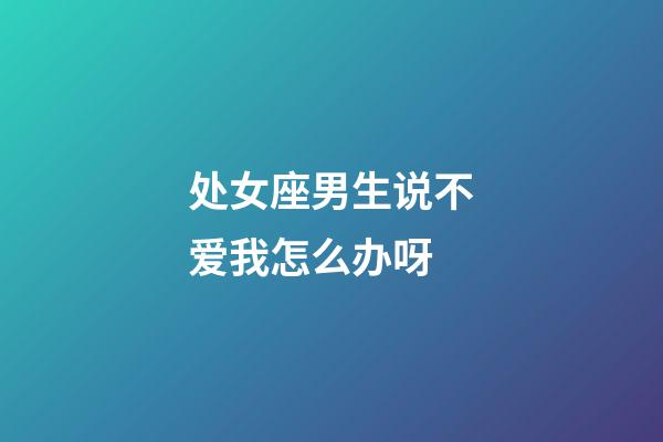 处女座男生说不爱我怎么办呀-第1张-星座运势-玄机派