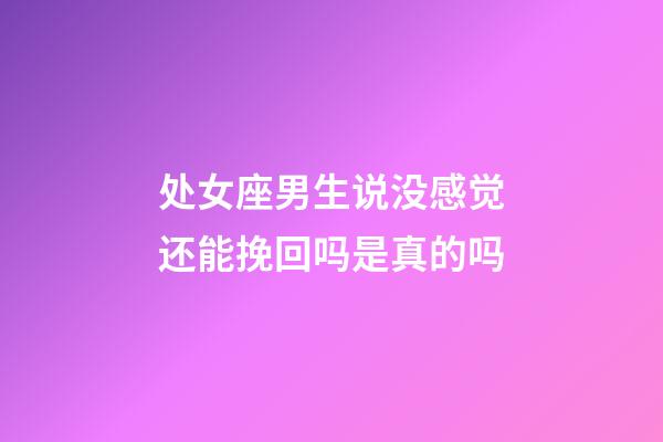 处女座男生说没感觉还能挽回吗是真的吗-第1张-星座运势-玄机派