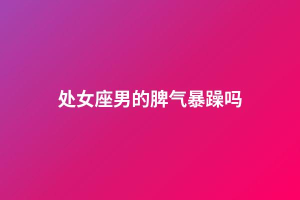 处女座男的脾气暴躁吗-第1张-星座运势-玄机派