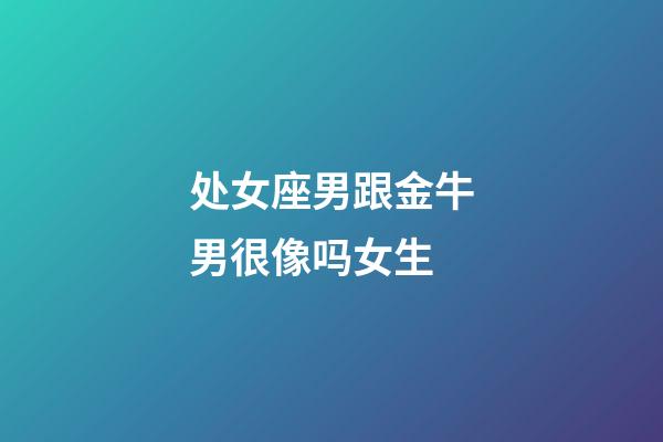 处女座男跟金牛男很像吗女生-第1张-星座运势-玄机派