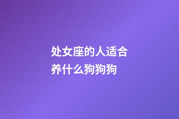 处女座的人适合养什么狗狗狗-第1张-星座运势-玄机派