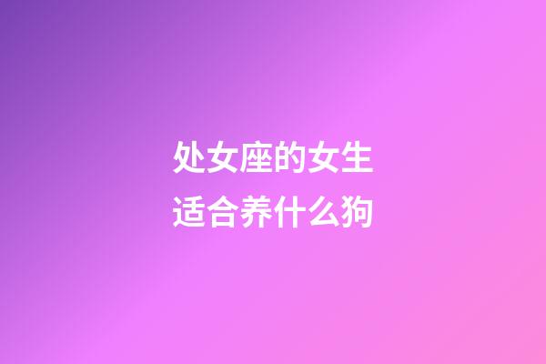 处女座的女生适合养什么狗-第1张-星座运势-玄机派