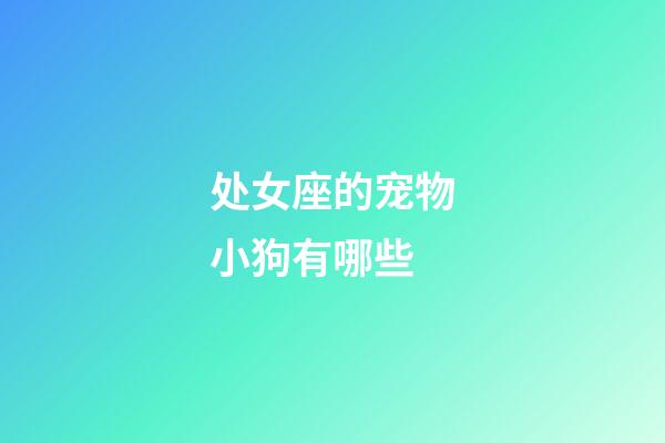 处女座的宠物小狗有哪些-第1张-星座运势-玄机派