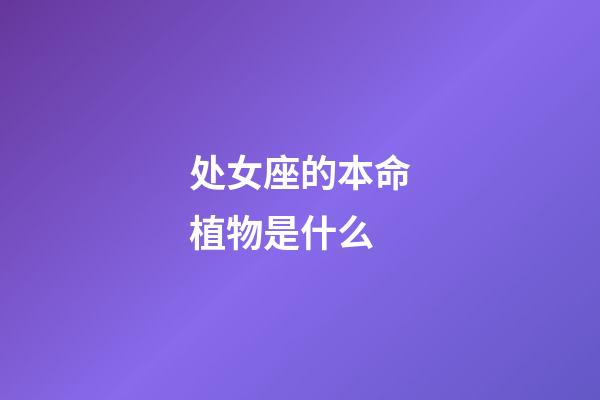 处女座的本命植物是什么-第1张-星座运势-玄机派