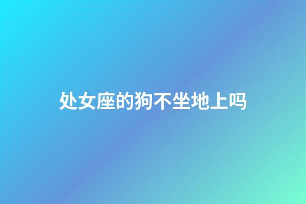 处女座的狗不坐地上吗-第1张-星座运势-玄机派