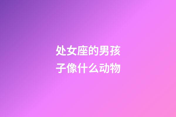 处女座的男孩子像什么动物-第1张-星座运势-玄机派