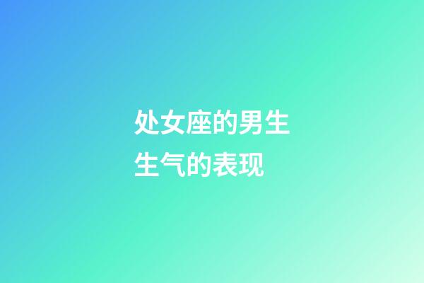 处女座的男生生气的表现-第1张-星座运势-玄机派