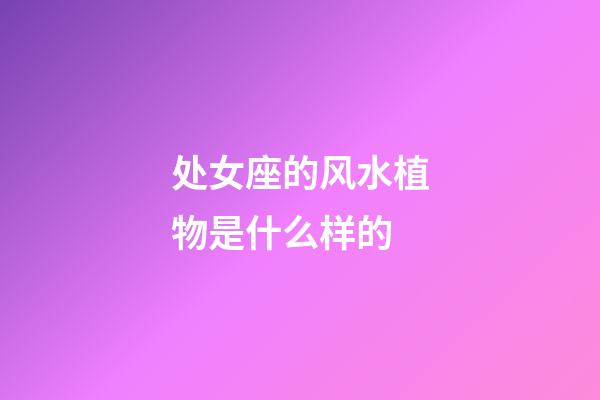 处女座的风水植物是什么样的-第1张-星座运势-玄机派