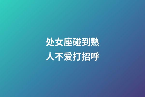 处女座碰到熟人不爱打招呼-第1张-星座运势-玄机派