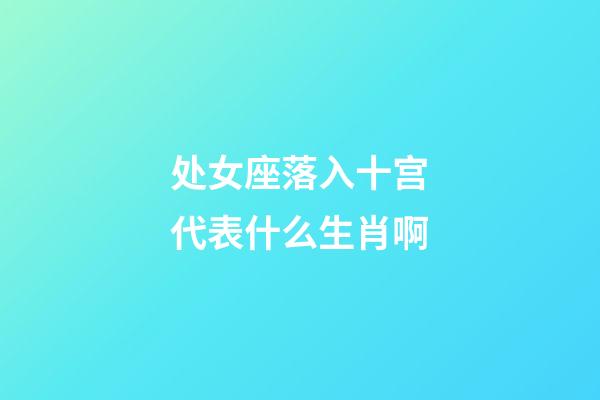 处女座落入十宫代表什么生肖啊-第1张-星座运势-玄机派