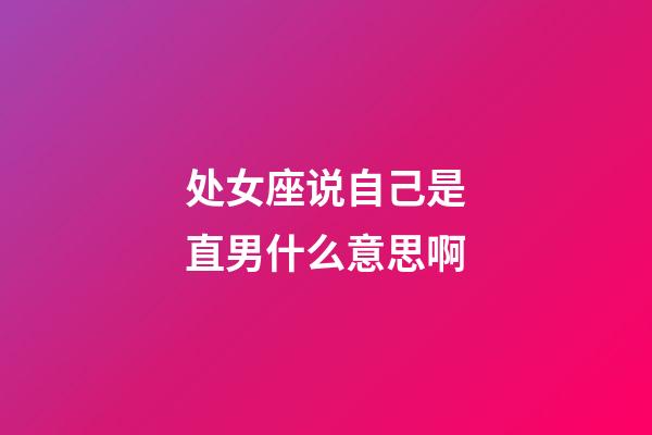 处女座说自己是直男什么意思啊-第1张-星座运势-玄机派