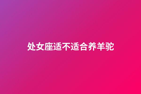 处女座适不适合养羊驼-第1张-星座运势-玄机派