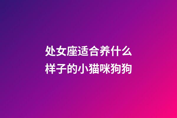 处女座适合养什么样子的小猫咪狗狗