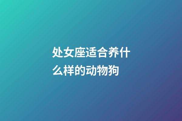 处女座适合养什么样的动物狗-第1张-星座运势-玄机派