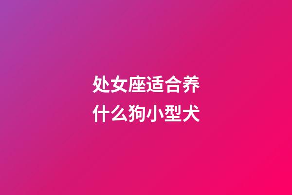 处女座适合养什么狗小型犬-第1张-星座运势-玄机派