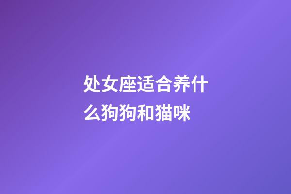 处女座适合养什么狗狗和猫咪-第1张-星座运势-玄机派