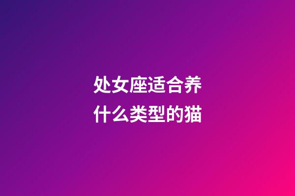 处女座适合养什么类型的猫