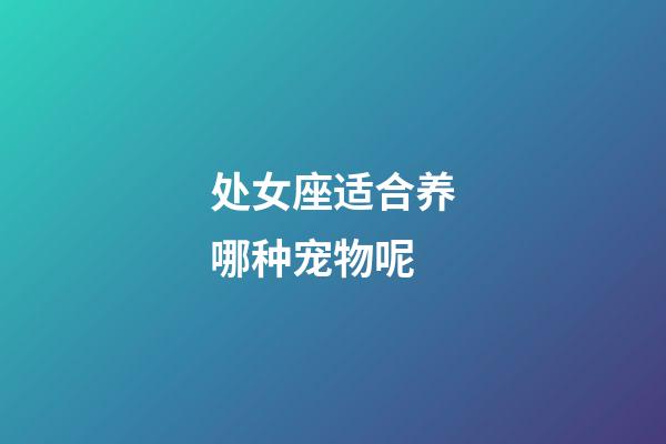 处女座适合养哪种宠物呢-第1张-星座运势-玄机派