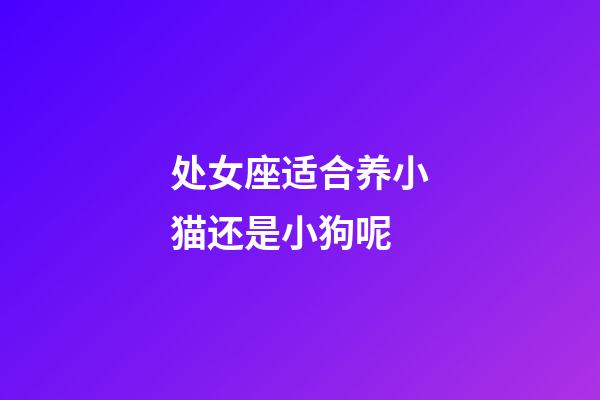 处女座适合养小猫还是小狗呢-第1张-星座运势-玄机派