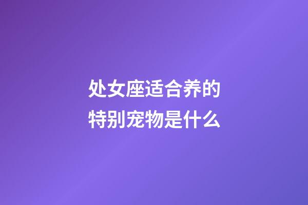 处女座适合养的特别宠物是什么-第1张-星座运势-玄机派