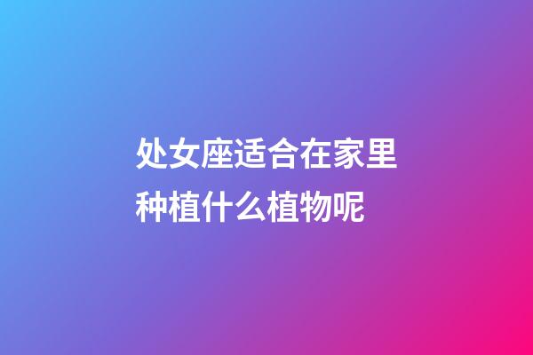 处女座适合在家里种植什么植物呢-第1张-星座运势-玄机派