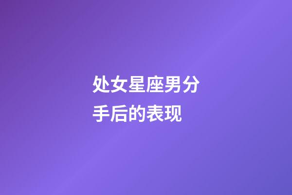 处女星座男分手后的表现-第1张-星座运势-玄机派