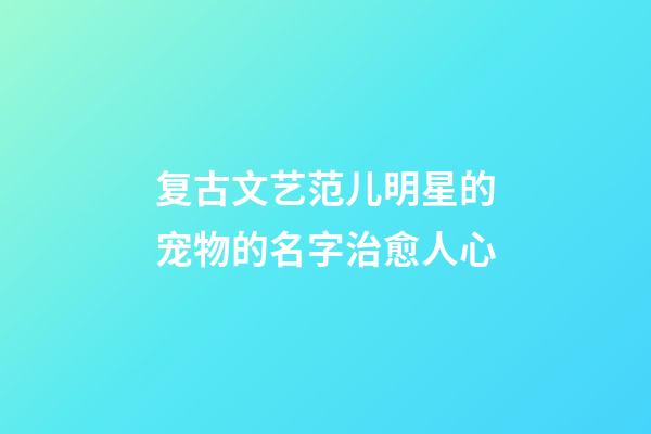 复古文艺范儿明星的宠物的名字治愈人心