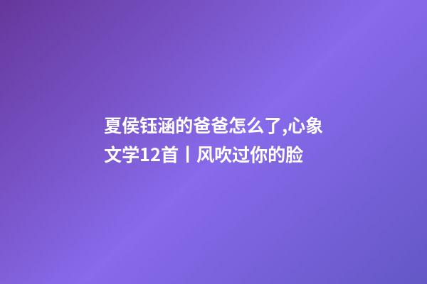 夏侯钰涵的爸爸怎么了,心象文学12首丨风吹过你的脸(附点评)-第1张-观点-玄机派