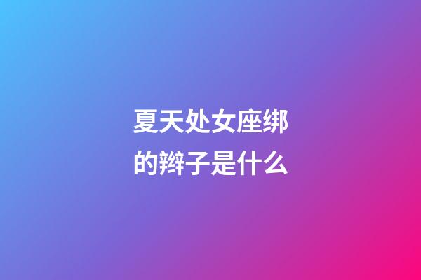 夏天处女座绑的辫子是什么-第1张-星座运势-玄机派