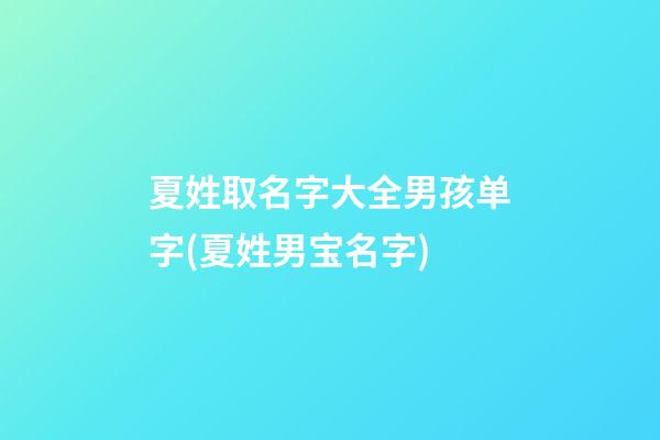 夏姓取名字大全男孩单字(夏姓男宝名字)