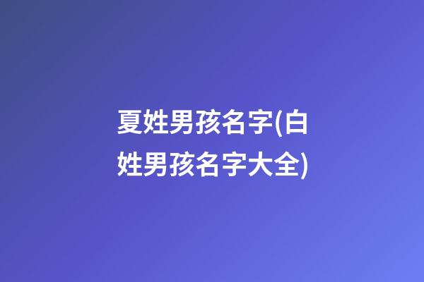 夏姓男孩名字(白姓男孩名字大全)