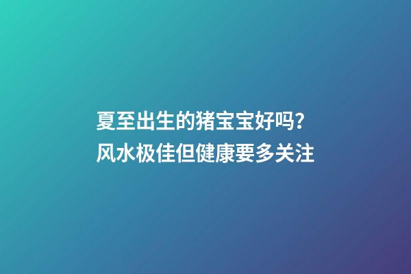夏至出生的猪宝宝好吗？风水极佳但健康要多关注