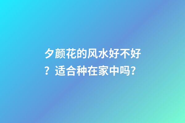 夕颜花的风水好不好？适合种在家中吗？