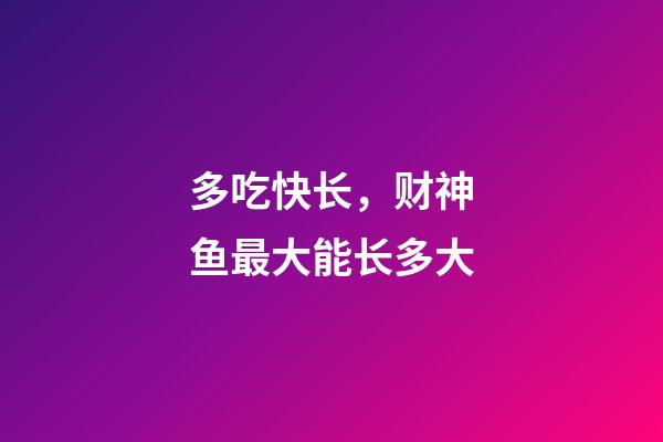多吃快长，财神鱼最大能长多大