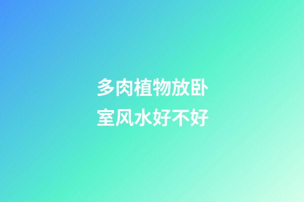 多肉植物放卧室风水好不好