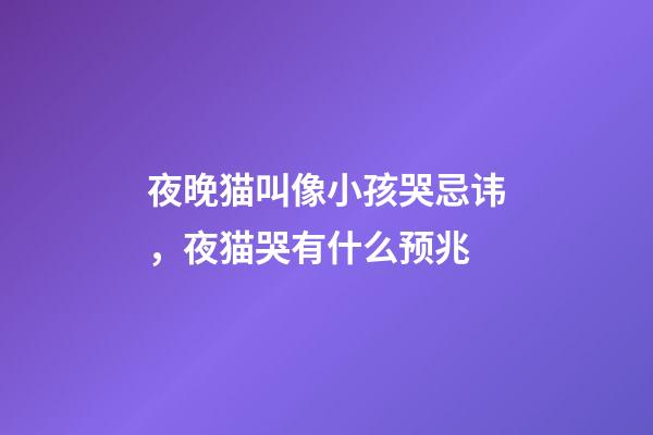 夜晚猫叫像小孩哭忌讳，夜猫哭有什么预兆
