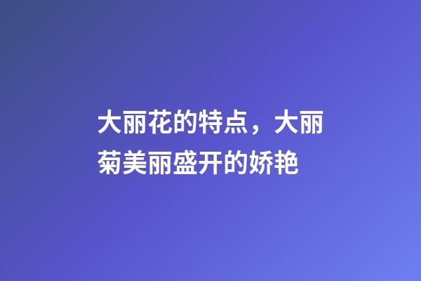 大丽花的特点，大丽菊美丽盛开的娇艳-第1张-观点-玄机派
