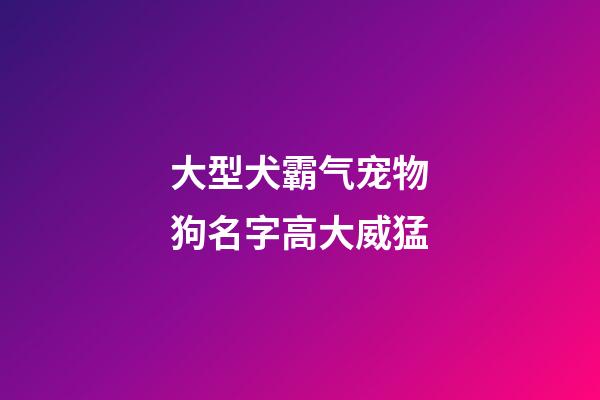 大型犬霸气宠物狗名字高大威猛