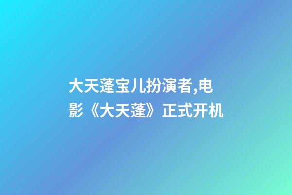 大天蓬宝儿扮演者,电影《大天蓬》正式开机-第1张-观点-玄机派