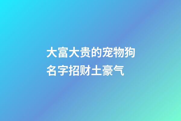 大富大贵的宠物狗名字招财土豪气