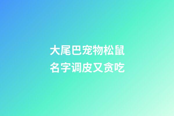 大尾巴宠物松鼠名字调皮又贪吃