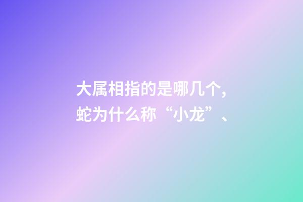 大属相指的是哪几个,蛇为什么称“小龙”、-第1张-观点-玄机派