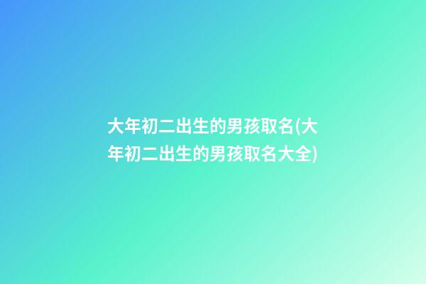 大年初二出生的男孩取名(大年初二出生的男孩取名大全)