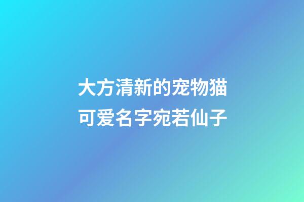 大方清新的宠物猫可爱名字宛若仙子