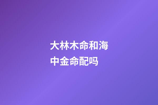 大林木命和海中金命配吗