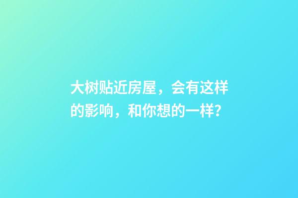大树贴近房屋，会有这样的影响，和你想的一样？