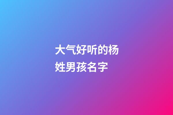 大气好听的杨姓男孩名字